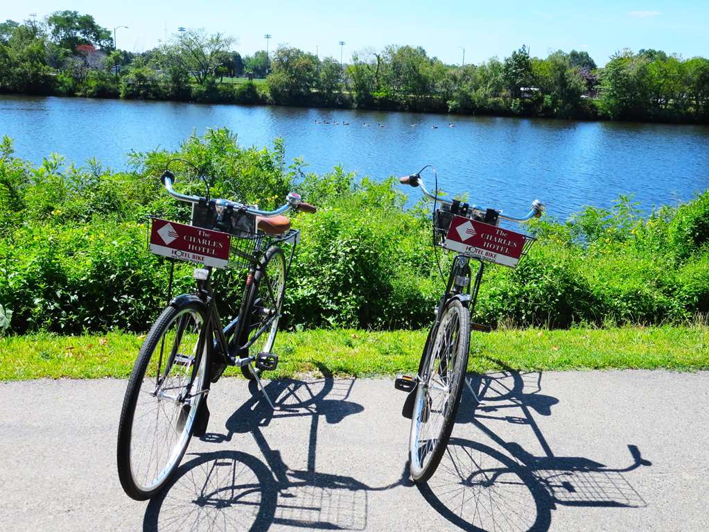 The Charles Hotel - photo 3