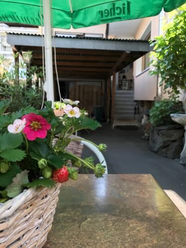 Hotel Alt Laubach — Laubach — photo 5