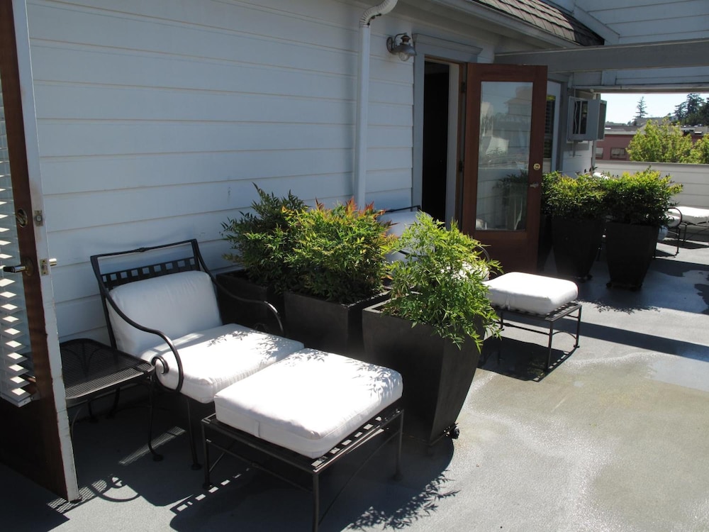 Bird Rock Hotel - photo 49