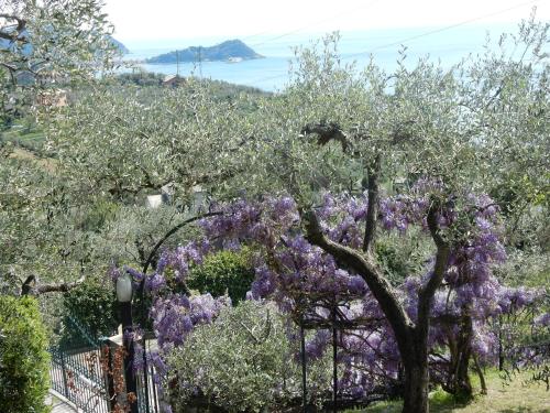 Villa Vista Mare — 4-Star Luxury Hotel in Lavagna, Italy