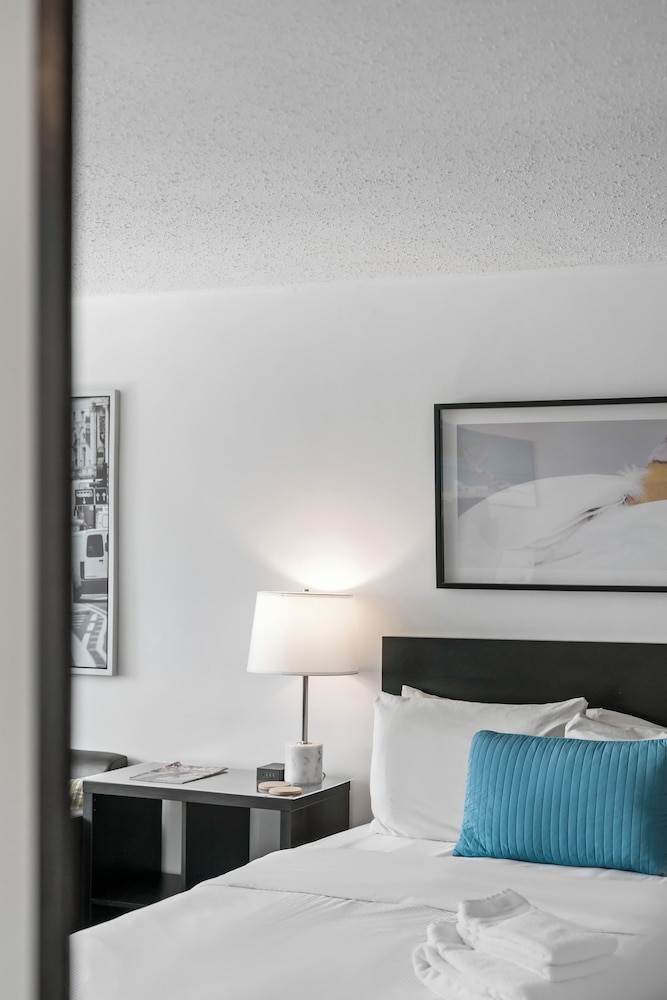 Studios On 25th by BCA Furnished Apts - photo 16