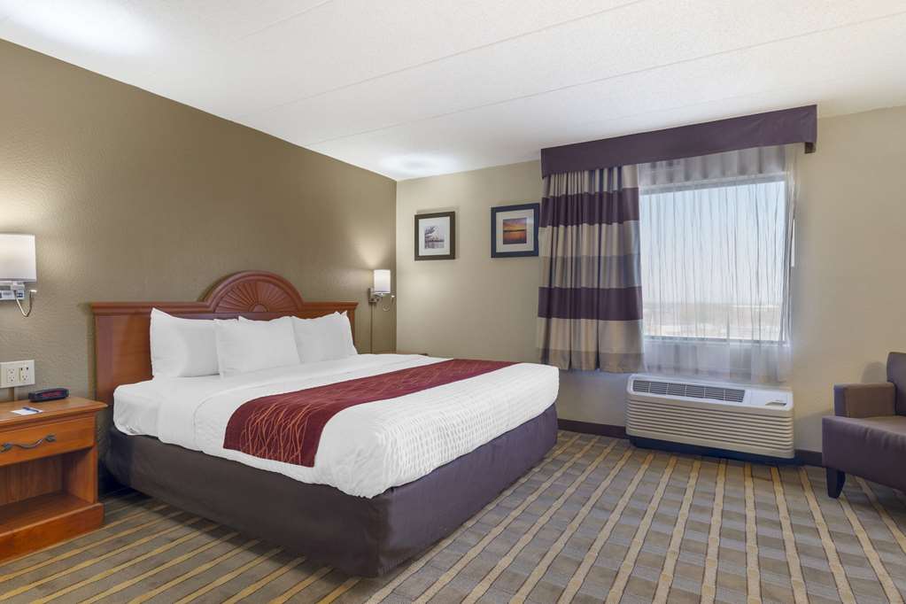 Comfort Inn University Center - photo 36