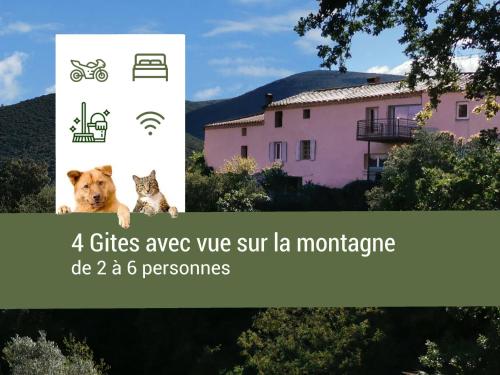 Pyrénées Mon Amour - last minute hotel in Unknown City