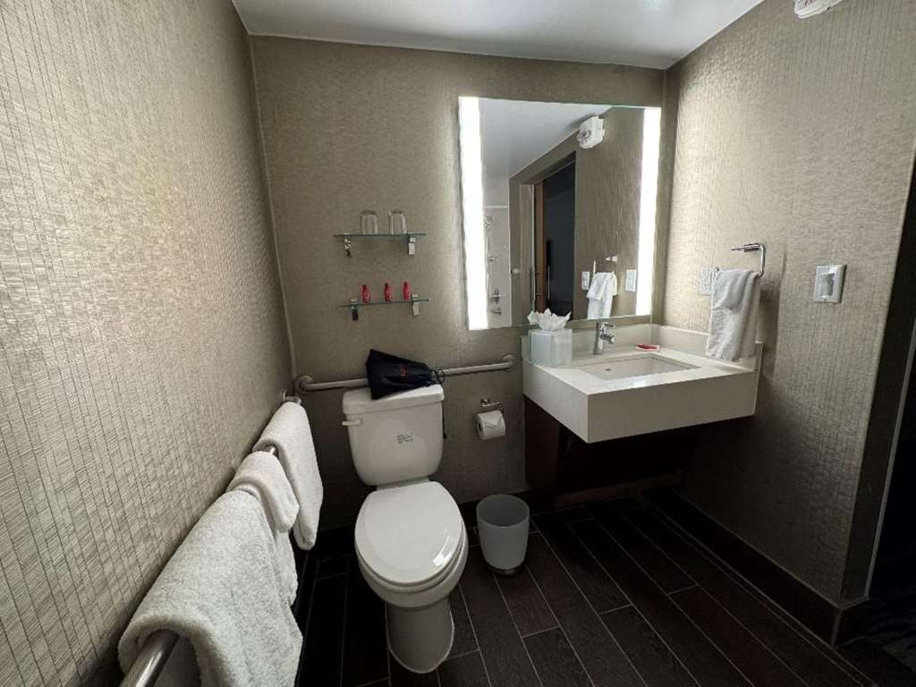 Skyline Hotel Detroit Airport SureStay Collection by BW - photo 28