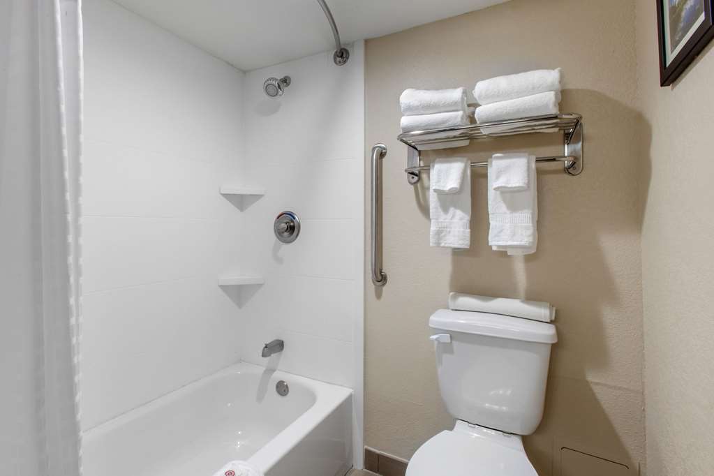 Comfort Inn & Suites Pinetop Show Low - photo 19