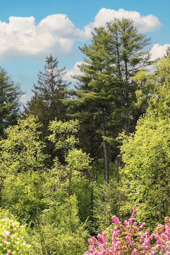 Awol Stowe - photo 68