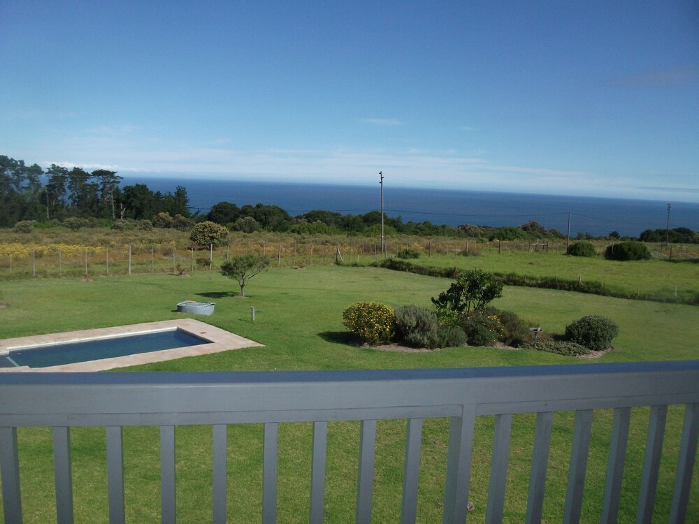 The Noble Ant in George, South Africa