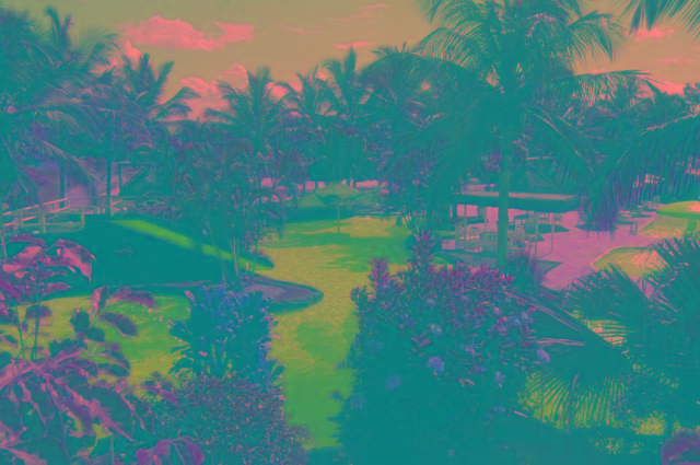 La Isla Ecoresort — Prado — photo 4