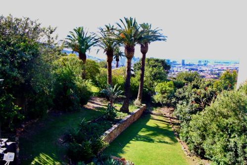 Family home views pets garden solar