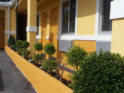 Belvedere Inn - photo 10