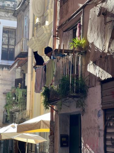 Scio' Apartment Centro Storico — 4-Star Luxury Hotel in Naples, Italy
