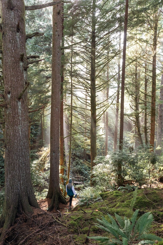 Salishan Coastal Lodge - photo 61