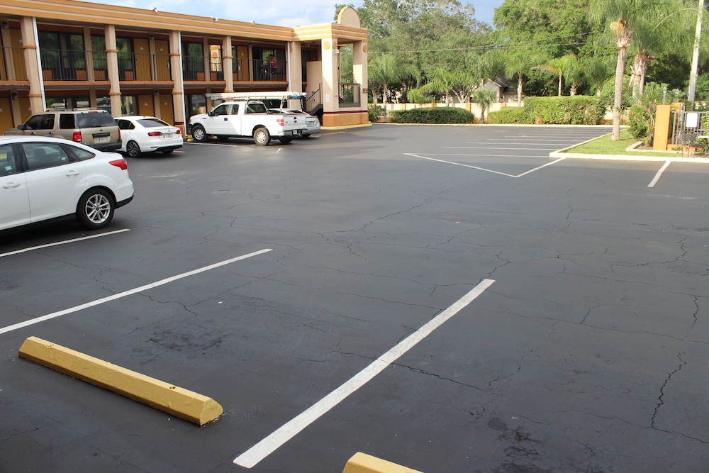 Tampa Inn Near Busch Gardens - photo 34