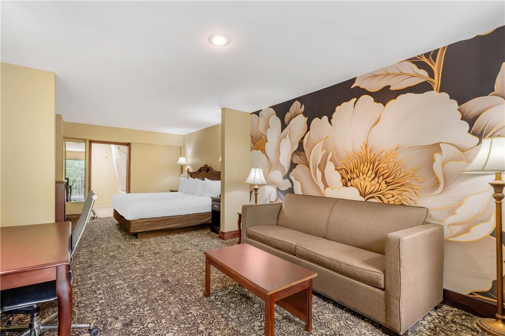 Quality Inn Eureka Springs South - photo 68