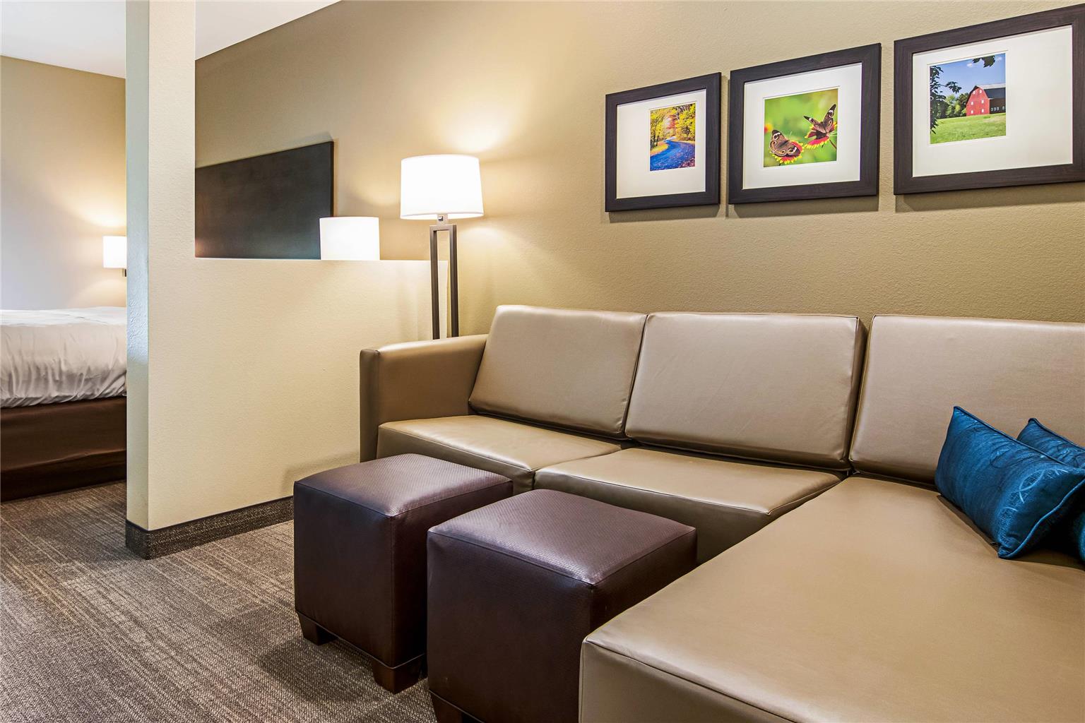 Comfort Suites Wooster near University Campus - photo 19