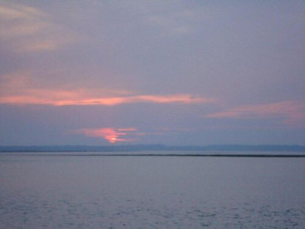 Island Resort - photo 21