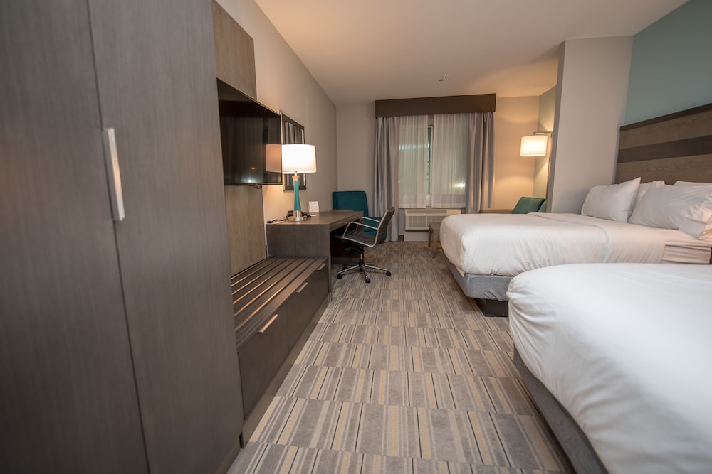 Holiday Inn Express & Suites Lake Charles South Casino Area by IHG - photo 36