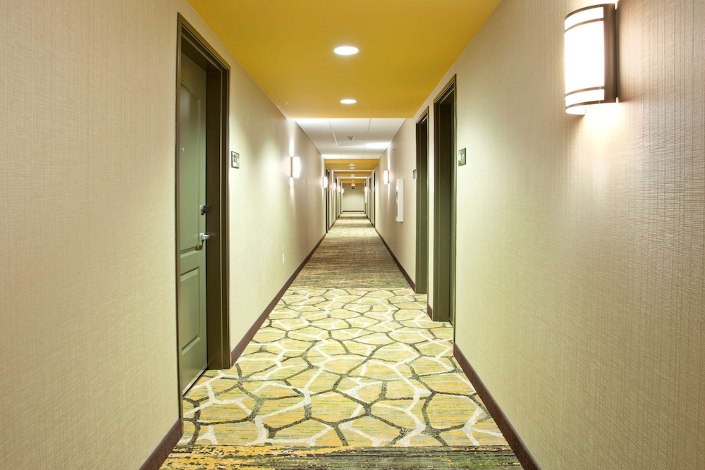 Hampton Inn & Suites Minneapolis Downtown - photo 36