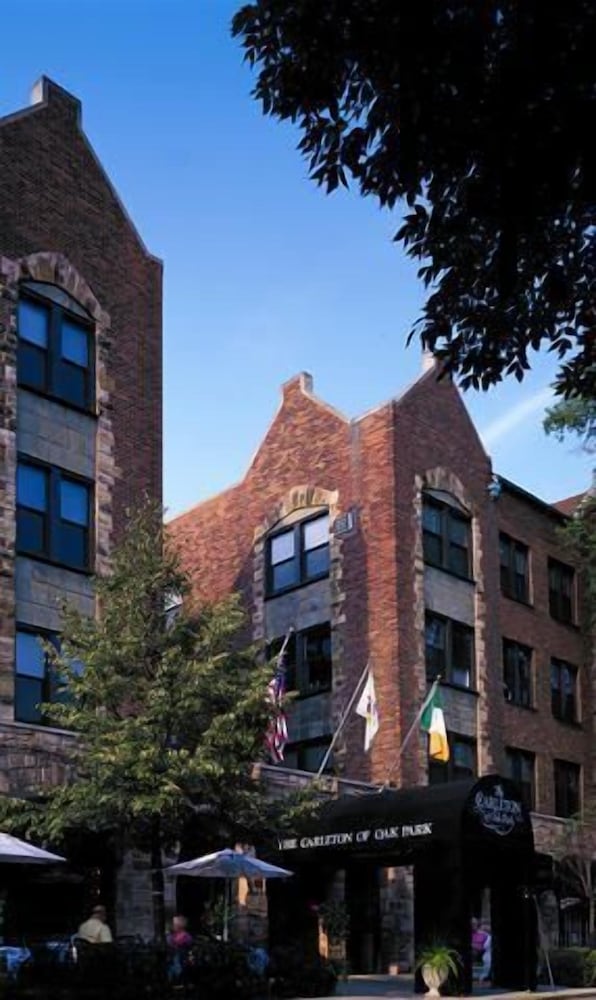 Carleton of Oak Park - photo 32