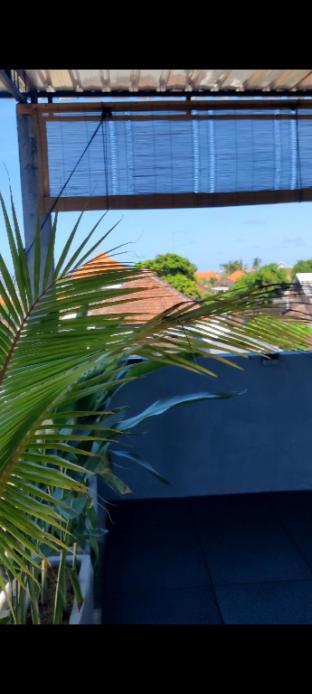 Surf Vee — Bali — photo 2