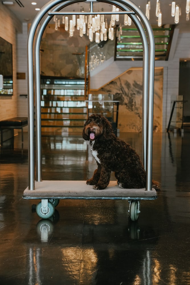 Hotel 1000 LXR Hotels & Resorts - photo 3