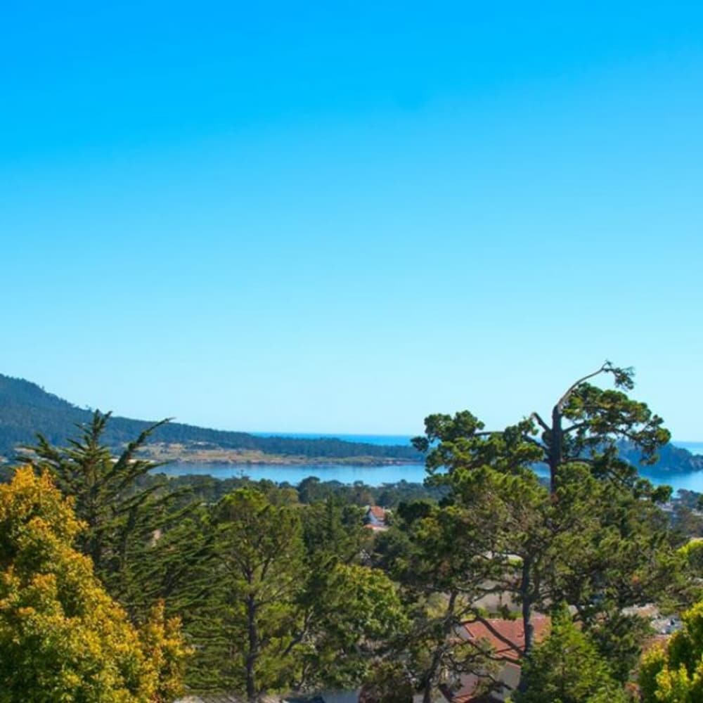 Tradewinds Carmel - photo 53