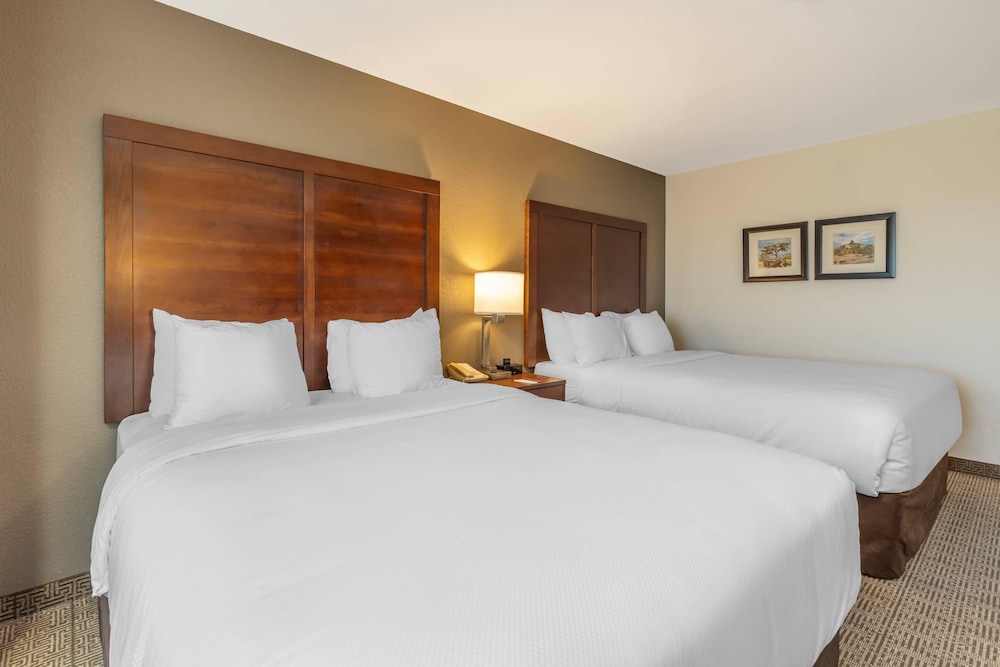 Comfort Inn & Suites Aztec Farmington Area - photo 31