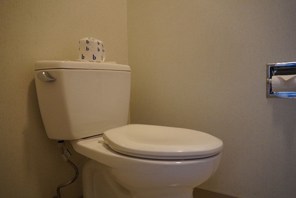 Timberland Inn & Suites - photo 86