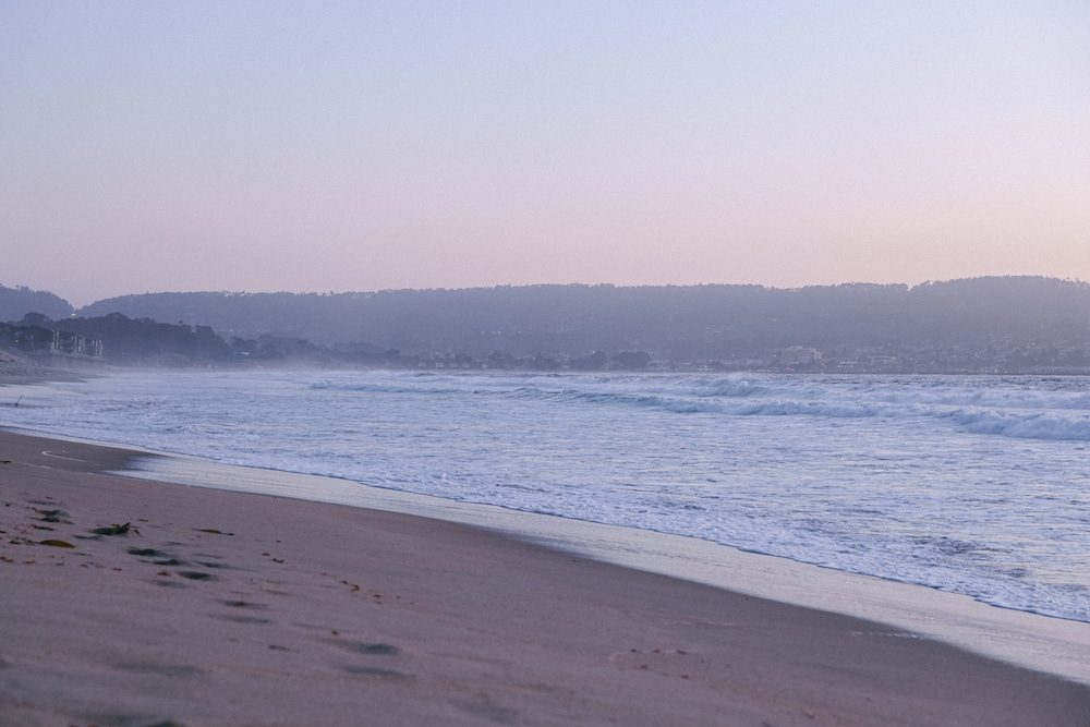 Monterey Beach Hotel A Tribute Portfolio Hotel - photo 56
