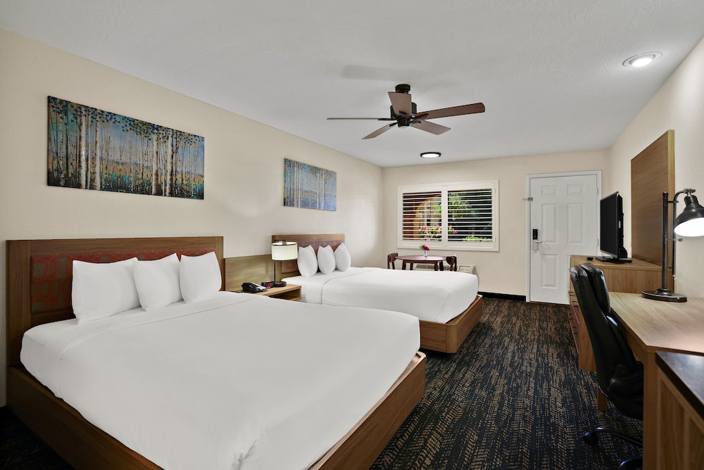 La Fuente Inn & Suites - photo 16