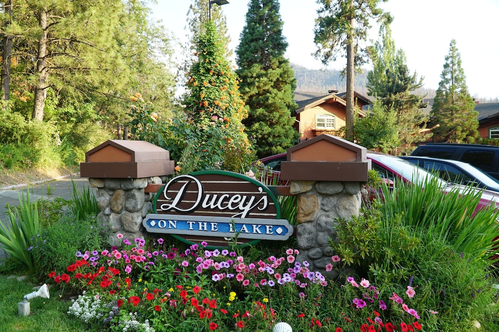 The Pines Resort - photo 137