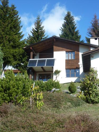 Arnika Montana in Breil, Switzerland