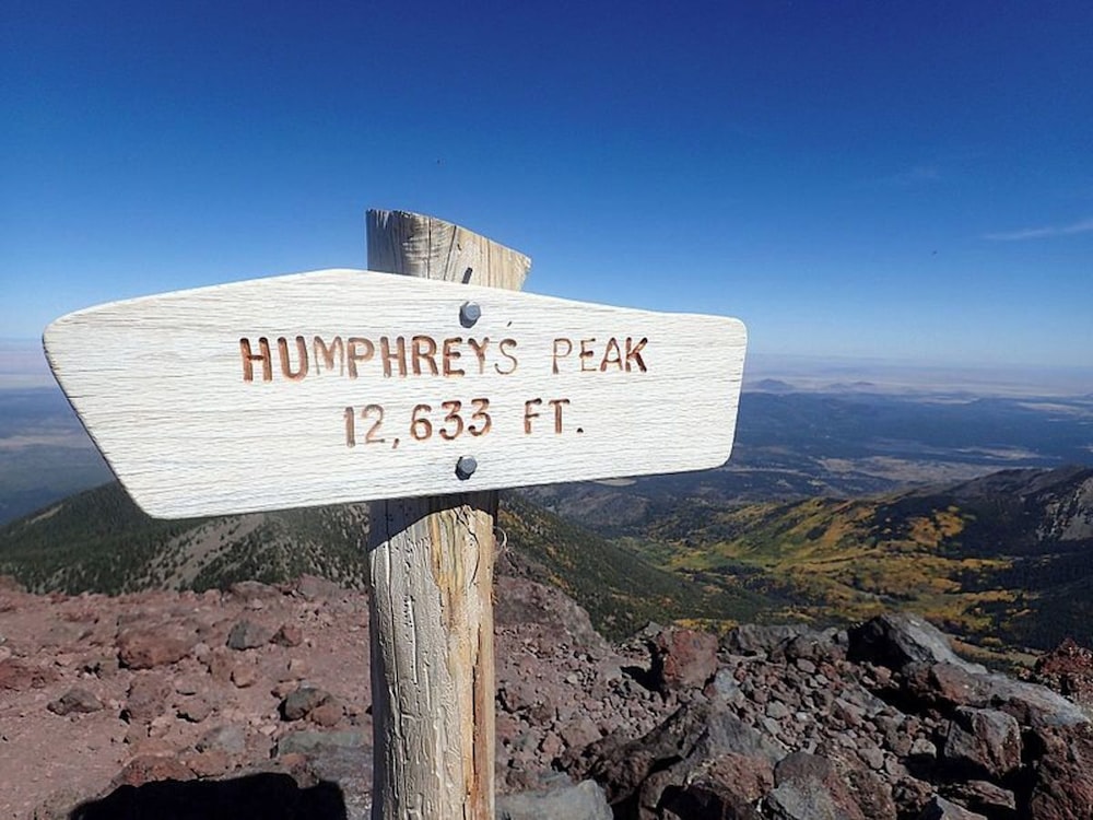 voco Flagstaff by IHG - photo 77