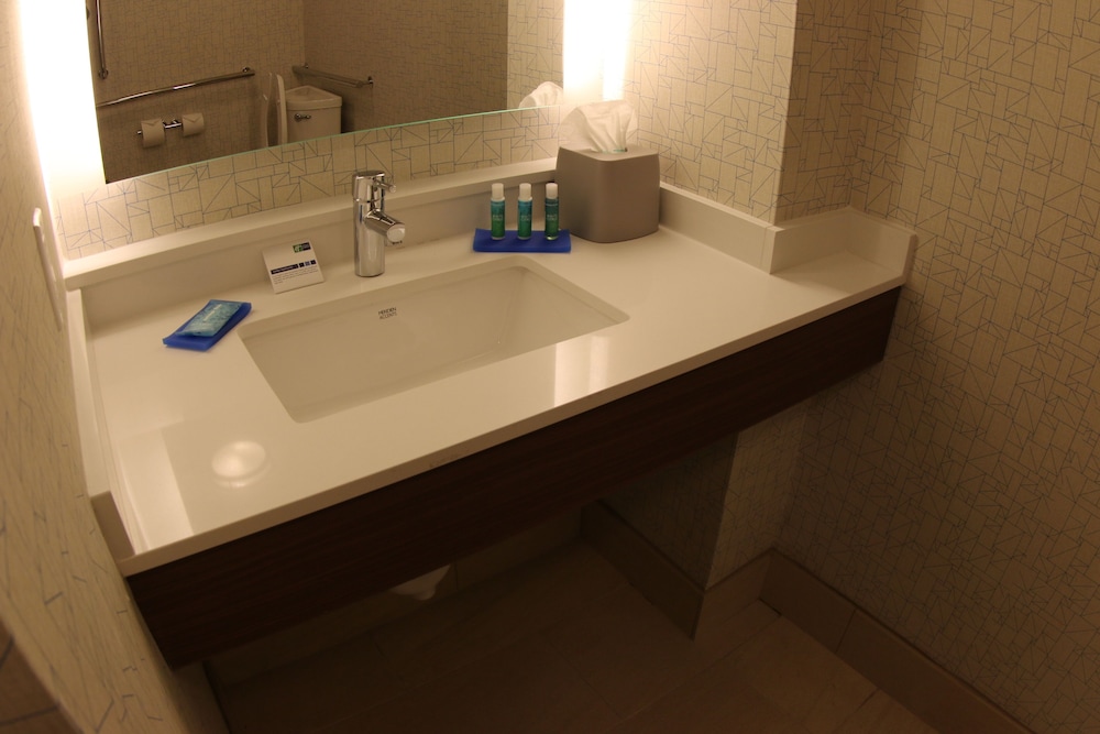 Holiday Inn Express and Suites Detroit Northwest Livonia - photo 8