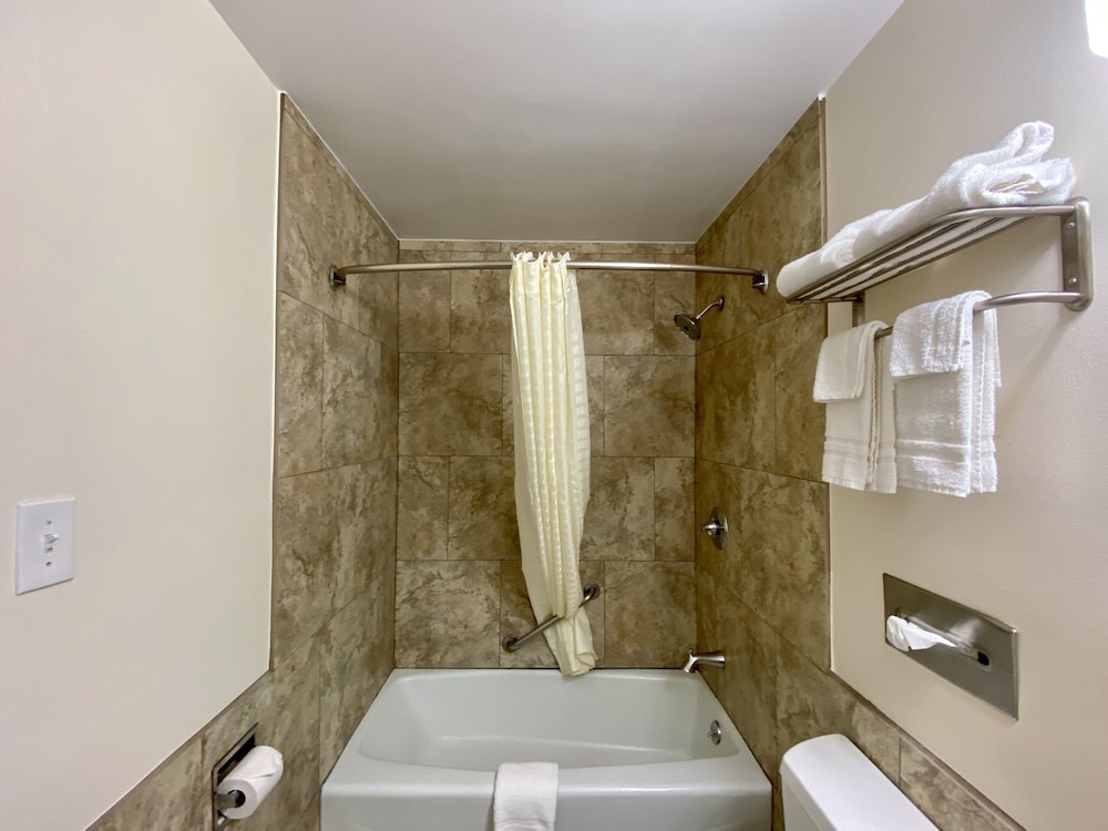 Roswell Inn - photo 28