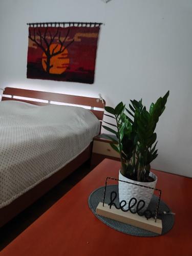 Apartma Marko Rogaska 20163416 — Rogaska Slatina