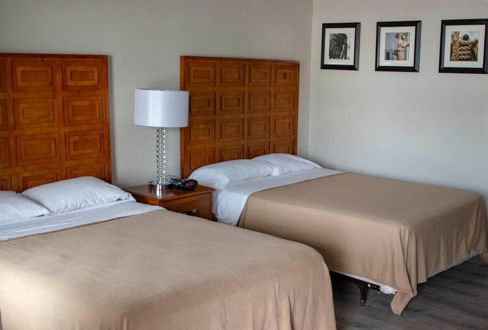 Southern Star Inn - photo 8