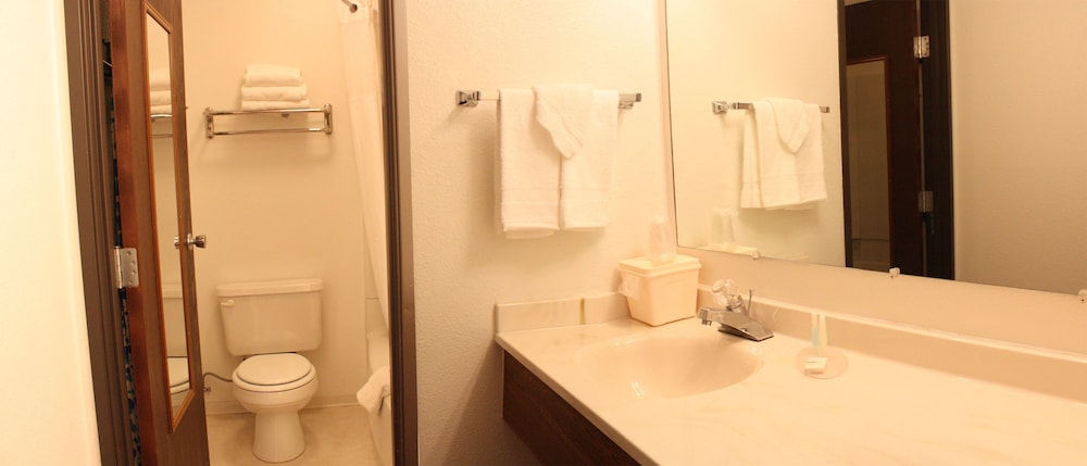 FairBridge Inn & Suites Kellogg - photo 24