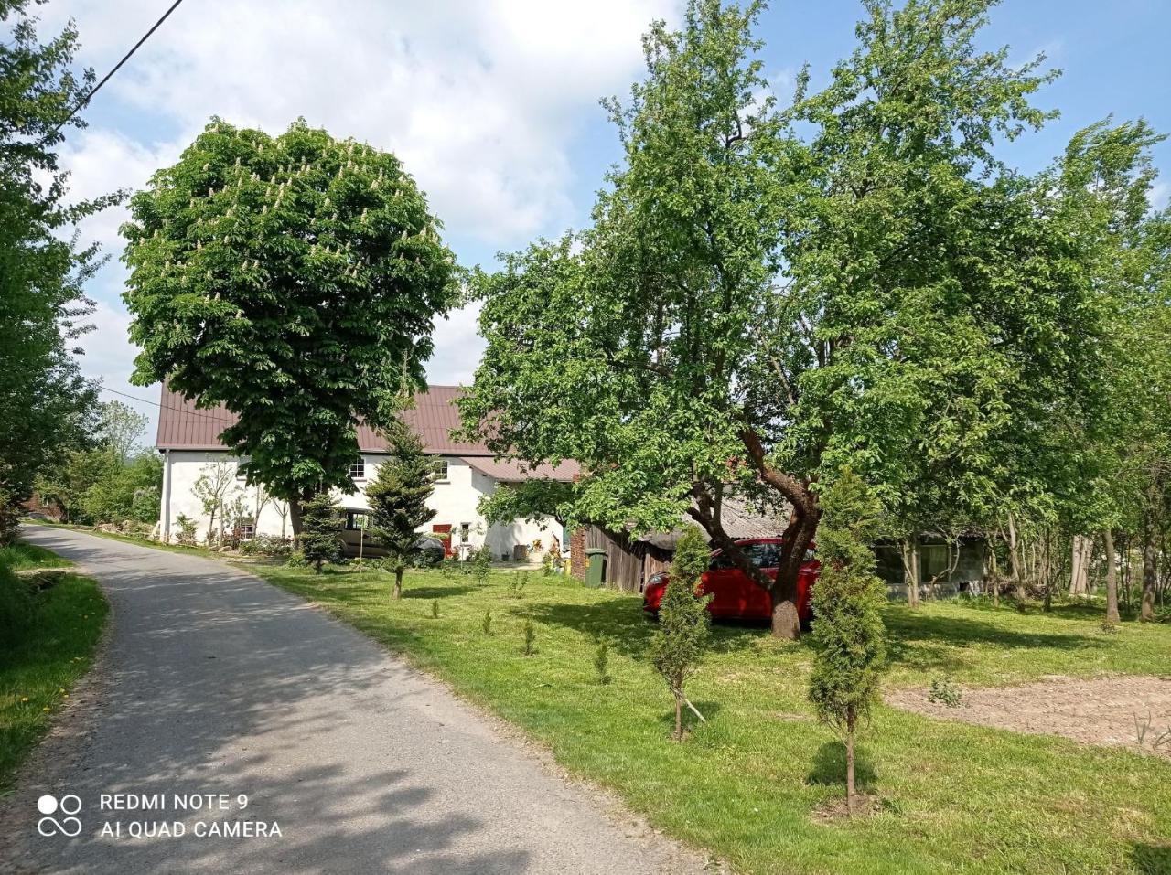 Roze I Jabłonie Agroturystyka — hotel in Gryfow Slaski
