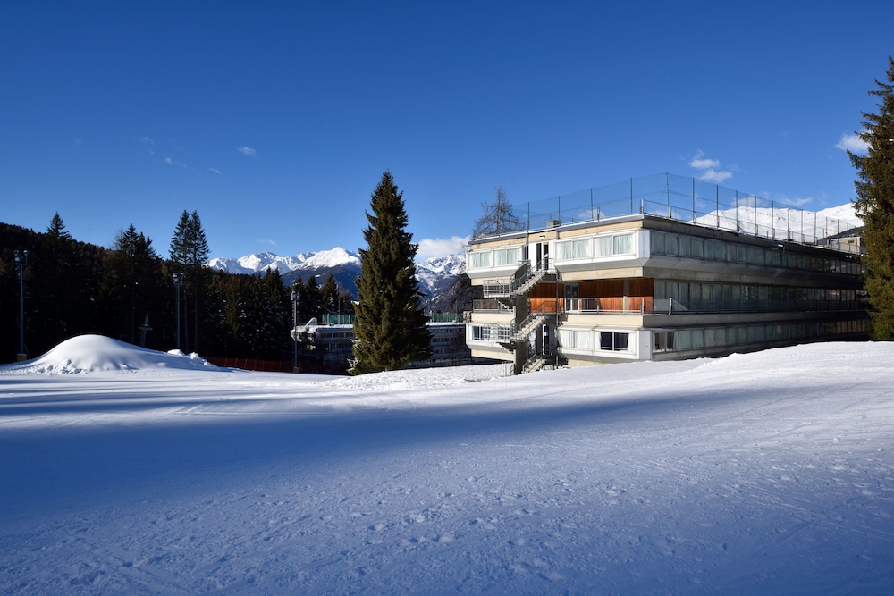 Hotel Rimi International