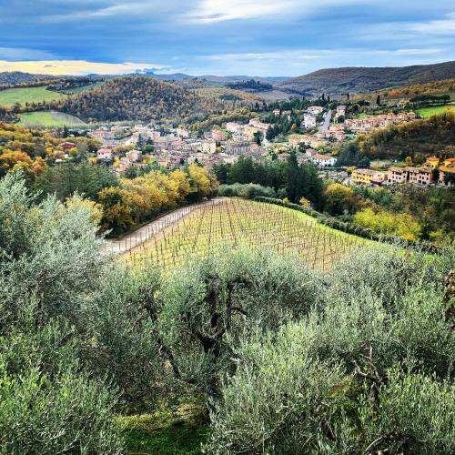 Capannelle Wine Resort in Gaiole In Chianti, Italy