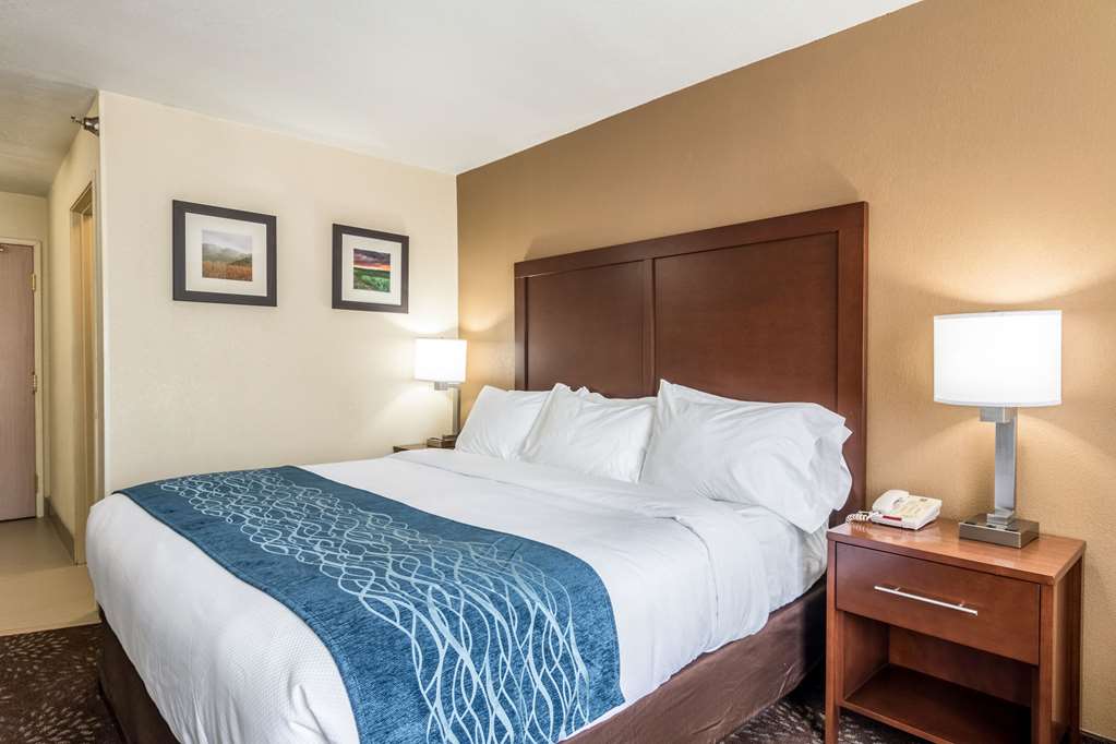Comfort Inn & Suites Hannibal - photo 11