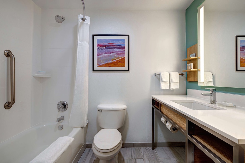 Hilton Garden Inn Tampa Northwest Oldsmar - photo 14