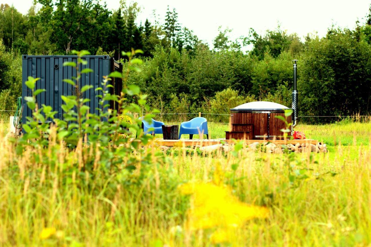 Wild Meadow — Unknown City — photo 2