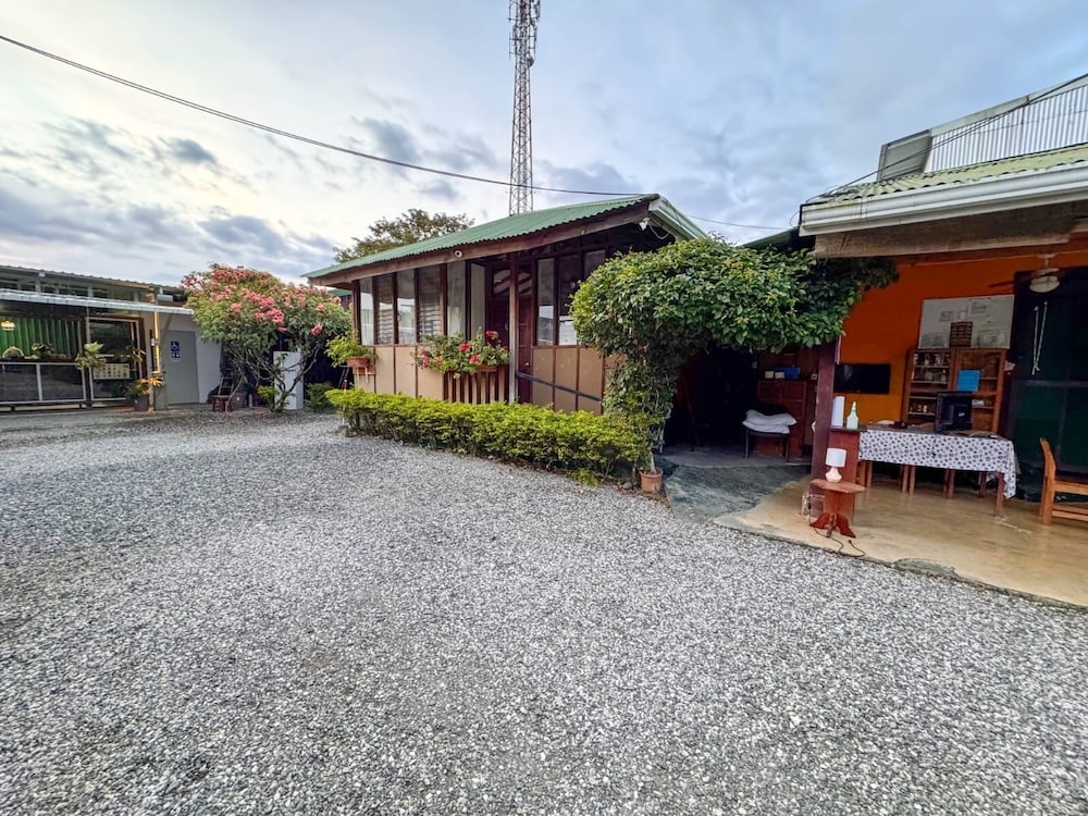 Delfines del Golfo in Puerto Jimenez, Costa Rica