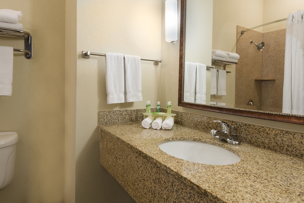 Holiday Inn Express Hotel & Suites New Iberia Avery Island by IHG - photo 15