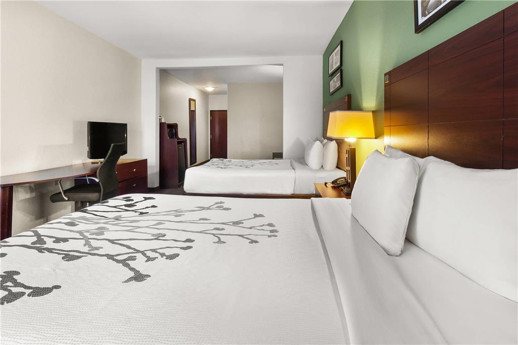 Sleep Inn & Suites Bush Intercontinental IAH East - photo 25