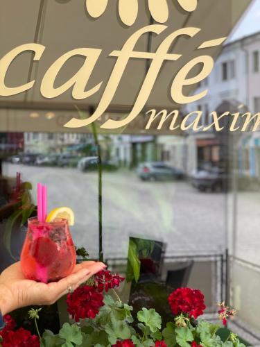 Hotel Maxim — Frydek-Mistek — photo 5