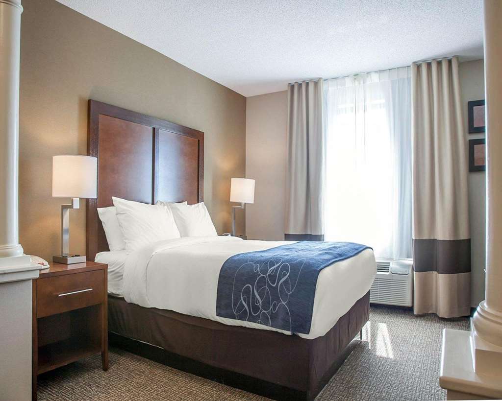 Comfort Suites West Warwick Providence - photo 30