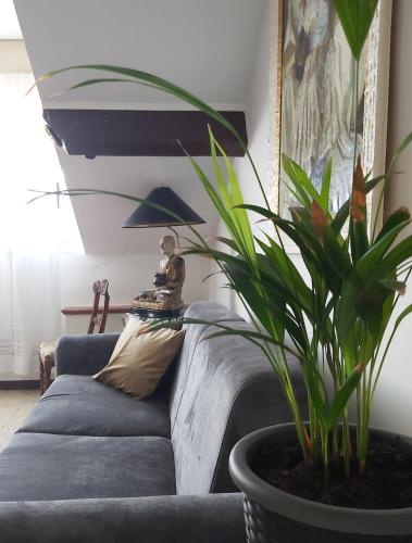 Classic Home Porto Maurizio — 4-Star Luxury Hotel in Imperia, Italy